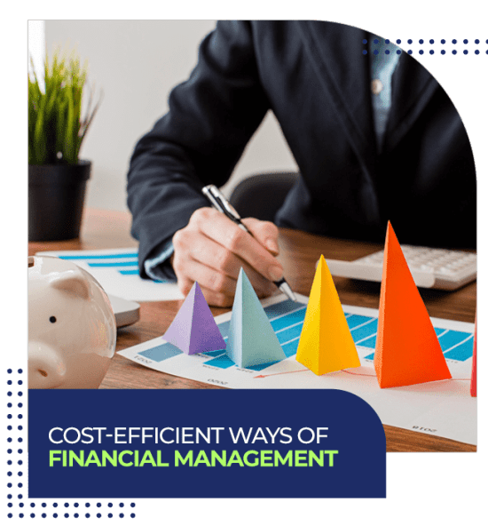 Cost-Efficient Ways of Financial Management